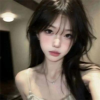 黑凤凰